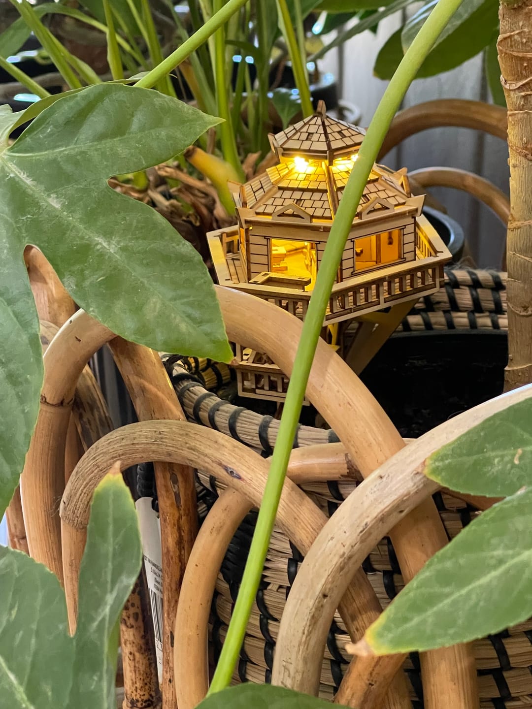 Customer photo review of Woodland Outpost