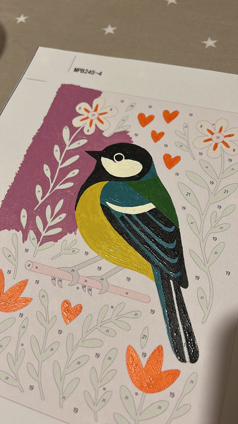 Customer photo review of 6 Mini Paintings - Colorful Birds Set