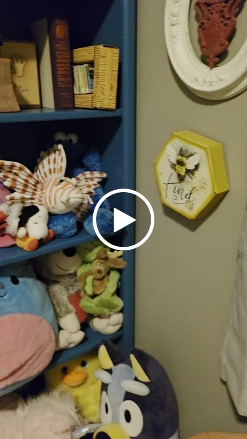 Customer video review of Red Lionfish Soft Stuffed Plush Toy