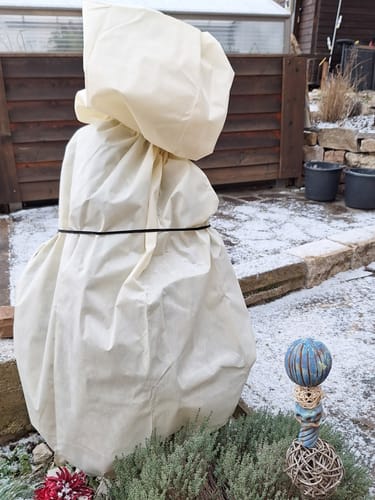 Customer photo review of Winterschutz für Kübelpflanzen XXL H 180 x B 120 cm Ø 76 cm