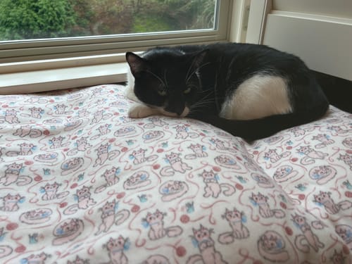 Customer photo review of Something Blue Blanket