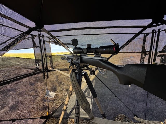 Customer photo review of VisX/VisMax See Through Hunting Blind, Pop Up Ground Deer Blind