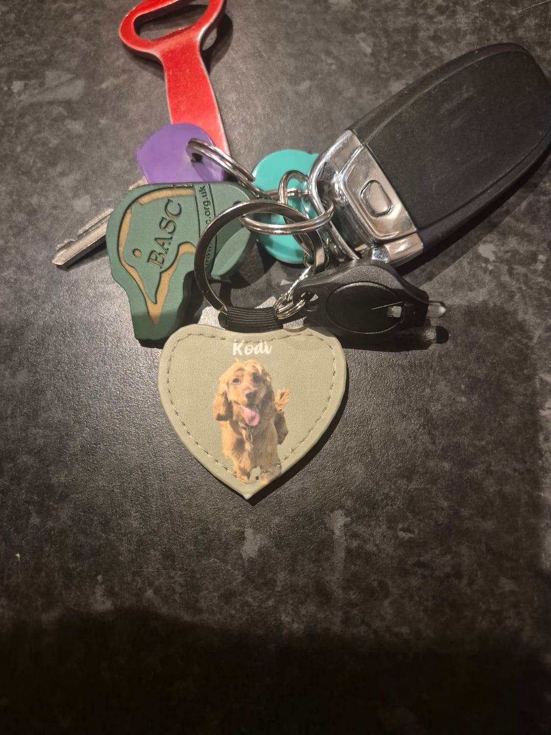 Customer photo review of Pet portrait - Personalised Keychain