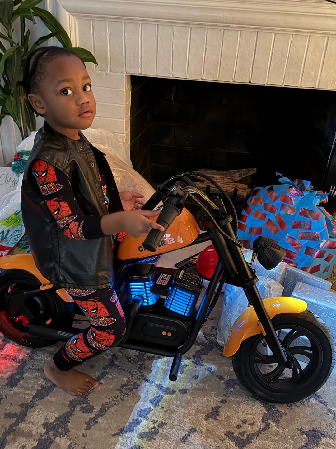 Customer photo review of Cruiser 12 Plus