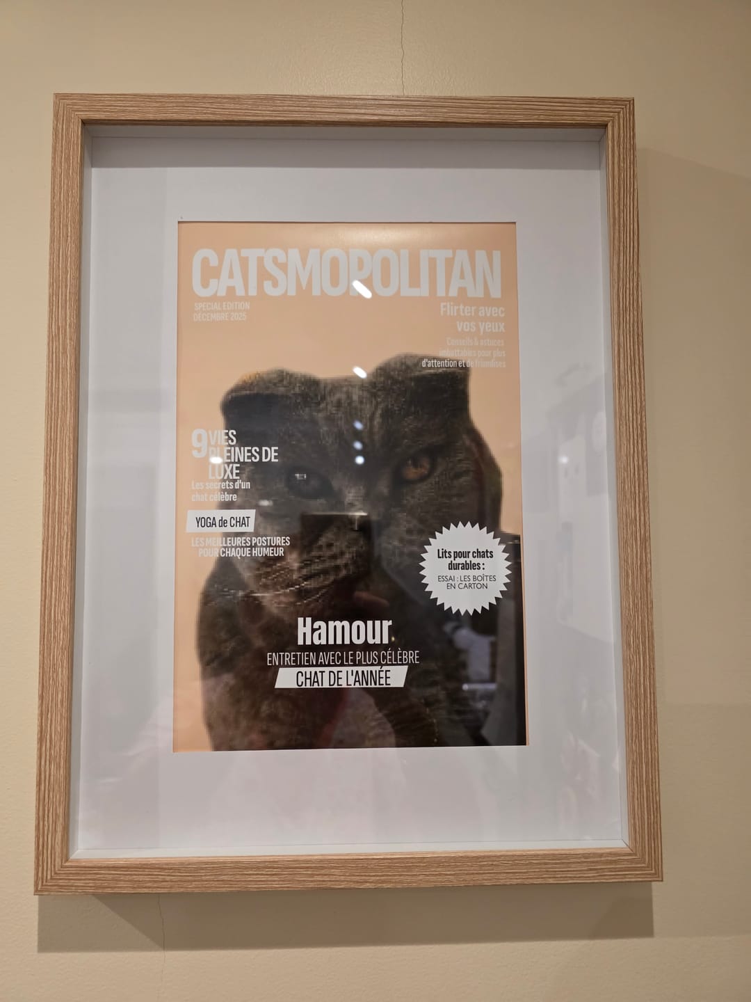 Customer photo review of Catsmopolitan - Poster personnalisé