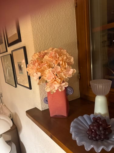 Customer photo review of Retro Ear Handle Glass Vase