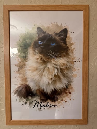 Customer photo review of Your Cat as Watercolor Portrait