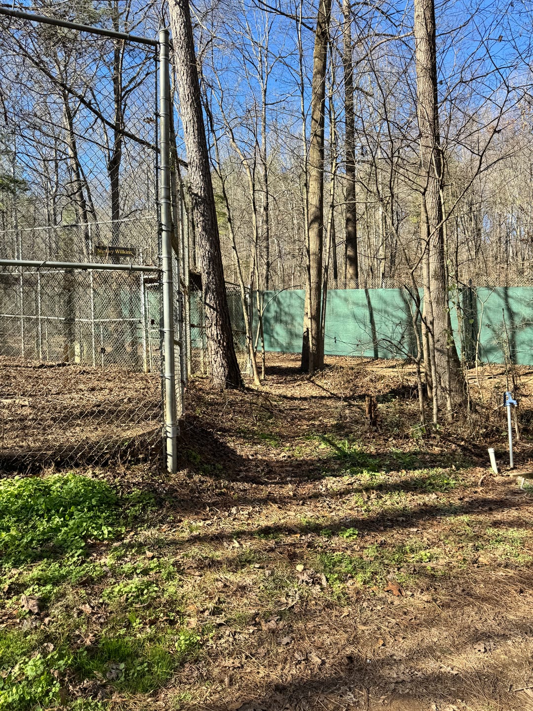 Customer photo review of Green Mesh Roll - 90% Shade