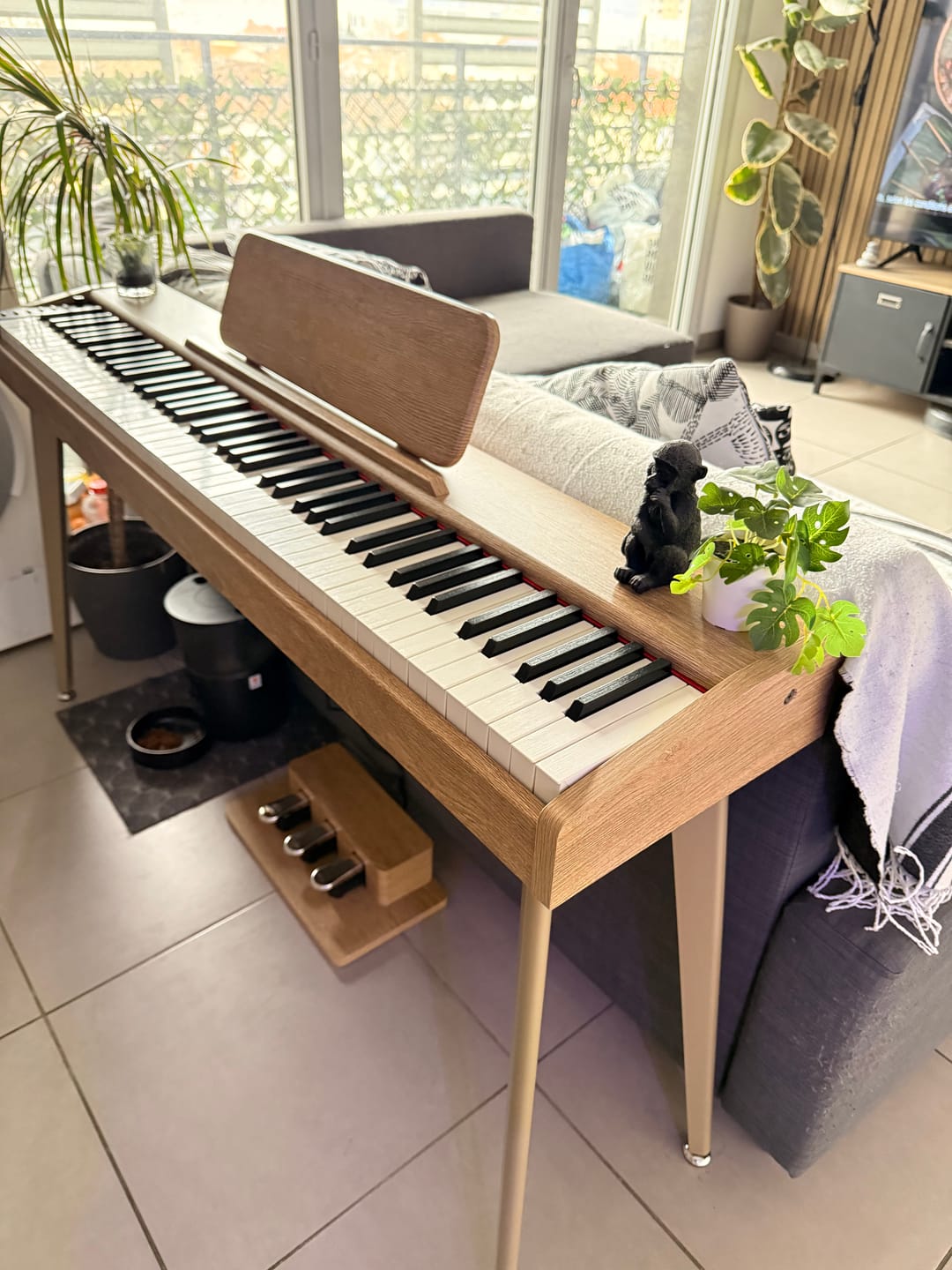 Customer photo review of Donner DDP-60 Semi-lesté Piano Numérique