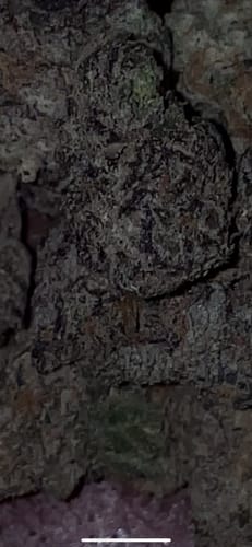 Customer photo review of FREE SAMPLE (with code) THCa Flower