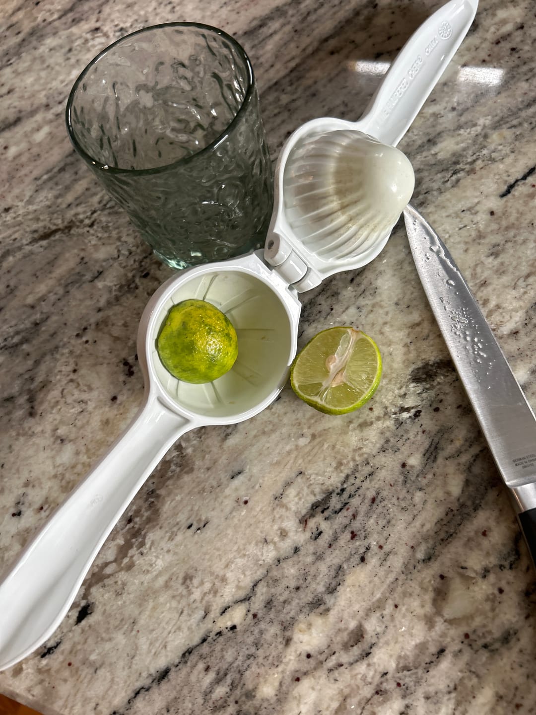 Customer photo review of Organic Key Limes 5 lbs