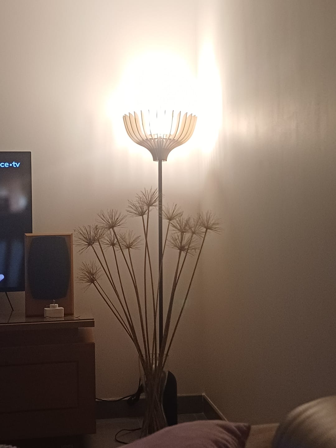 Customer photo review of Tullia | Lampadaire