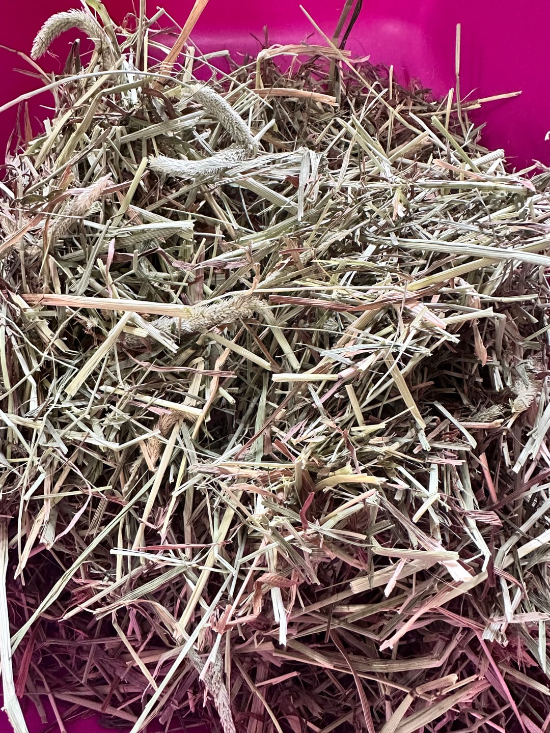 Customer photo review of TrueTAIL - Feno Timóteo (short cut hay) 500gr