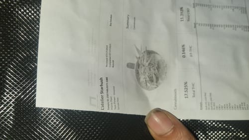 Customer photo review of Shipping Protection by Route