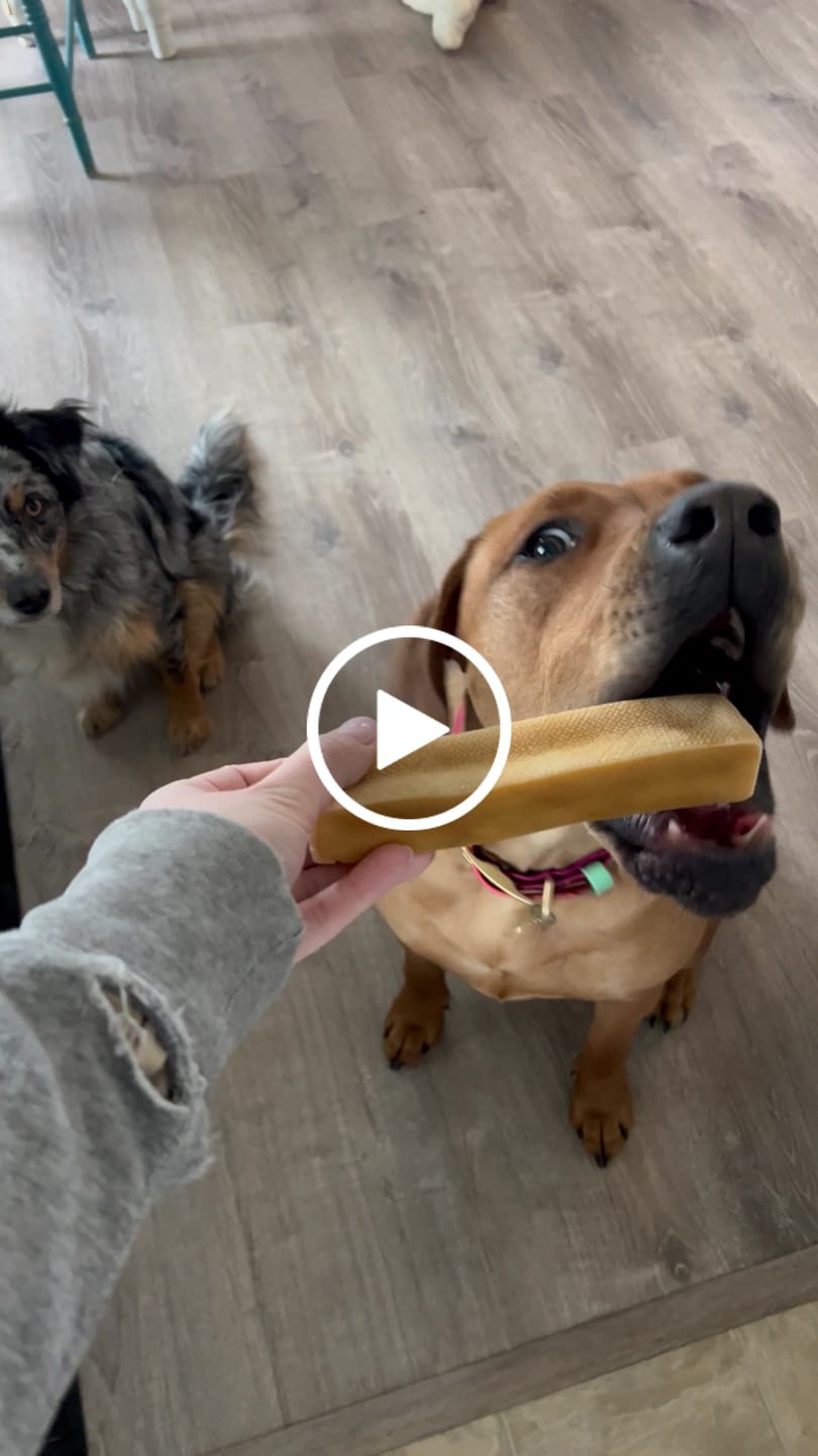 Customer video review of Himalayan Yak Chew (MEGA)
