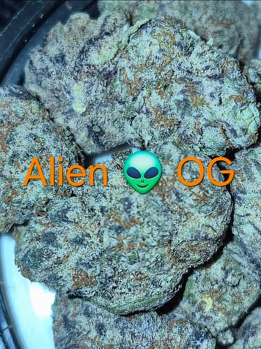 Customer photo review of Alien OG - 14 Grams Littles - Indica