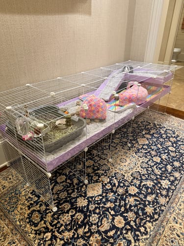 Customer photo review of 6x2 C&C Cage with Loft & Stand