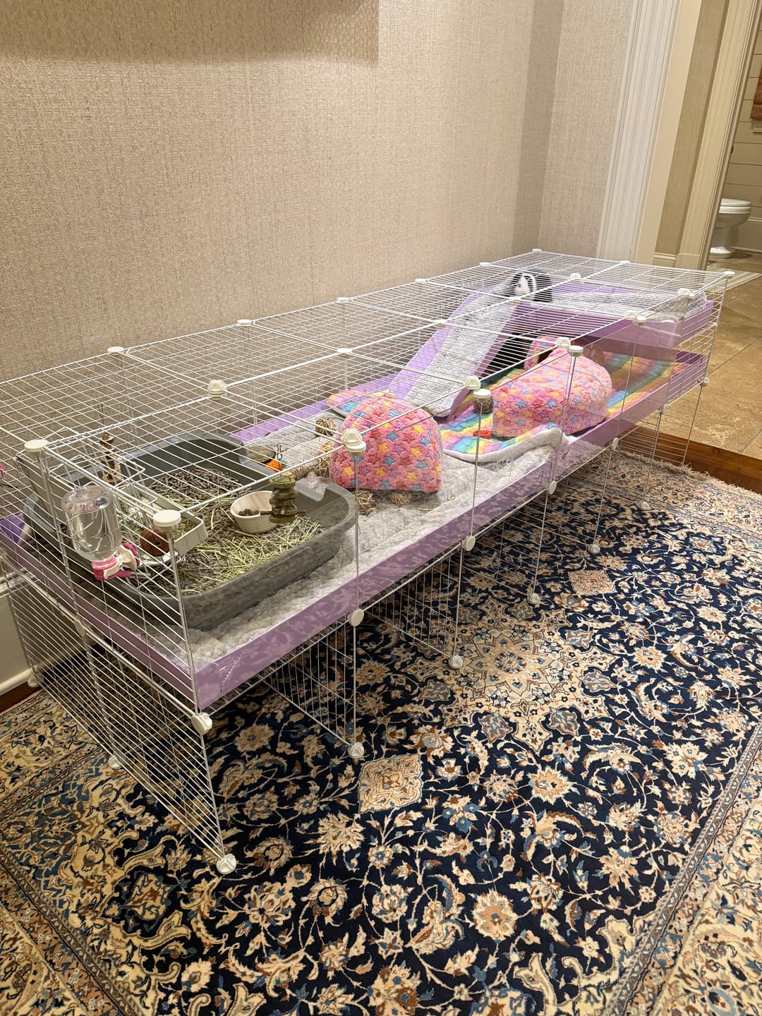 Customer photo review of 6x2 C&C Cage with Loft & Stand