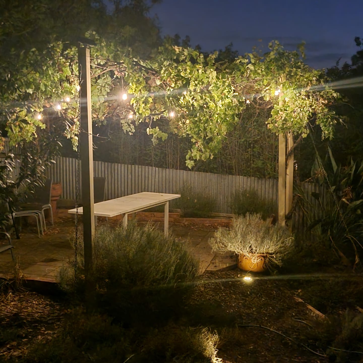Customer photo review of SolaGarden™ Festoon Lights