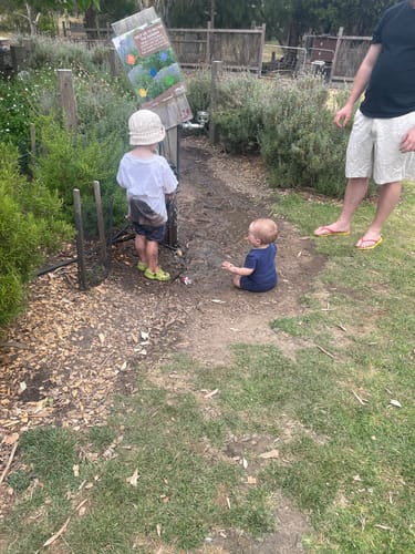 Customer photo review of Regular Washing Powder (Double Concentrate)