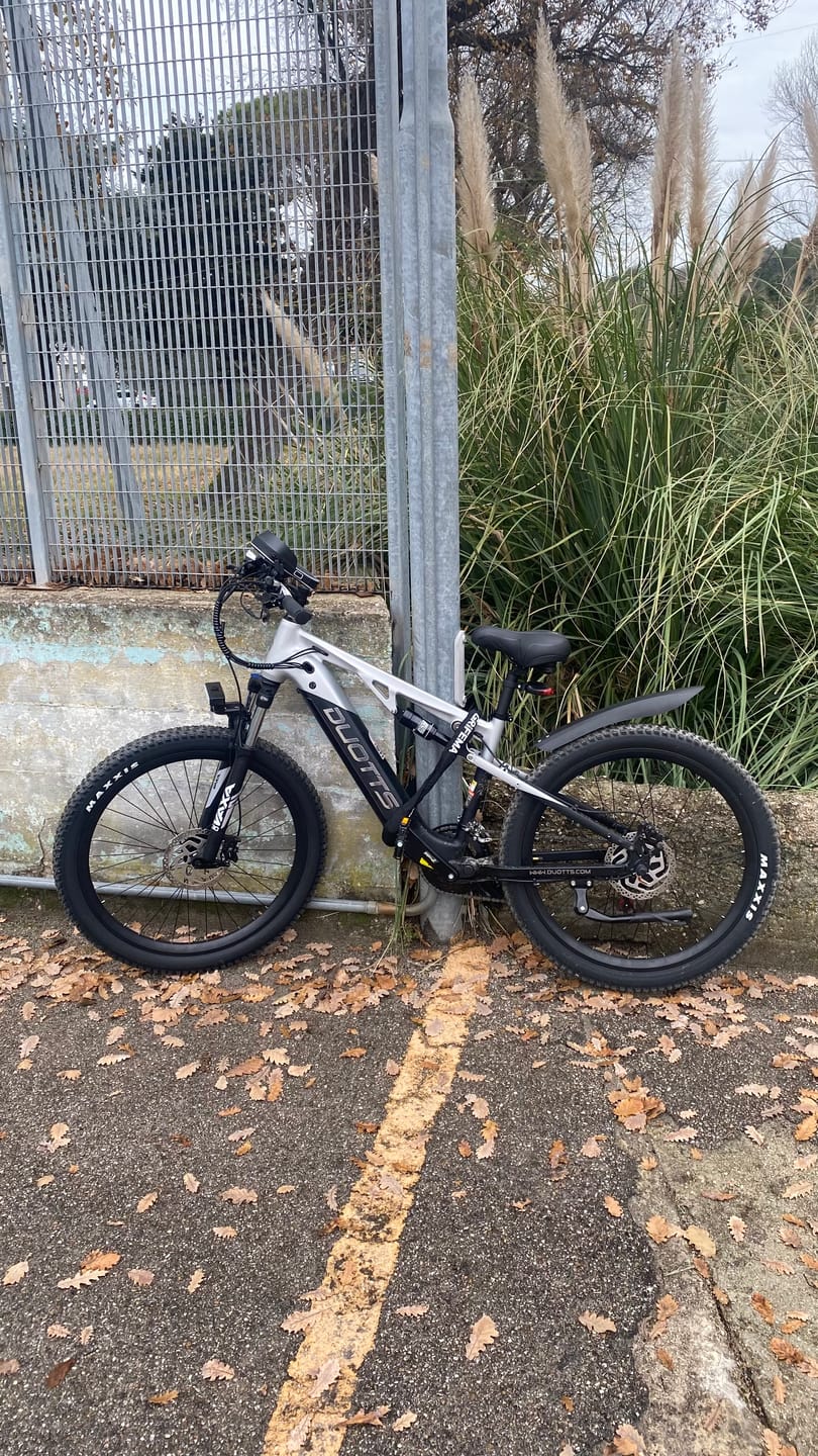 Customer photo review of DUOTTS E29 Electric Bike
