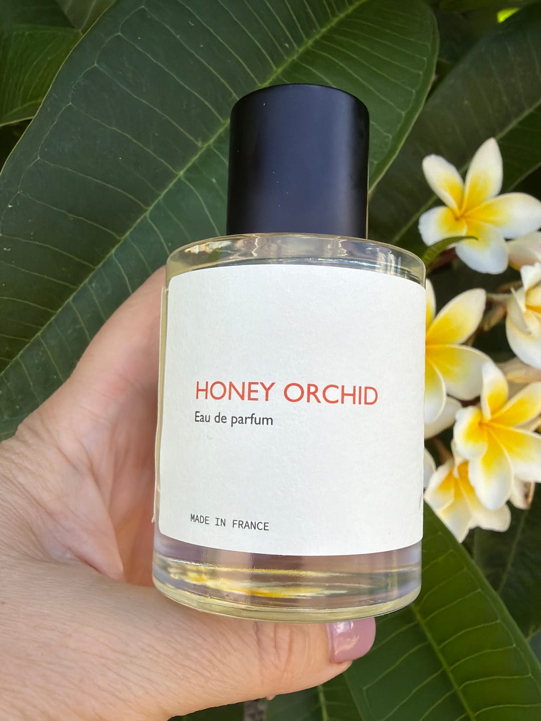 Customer photo review of Honey Orchid