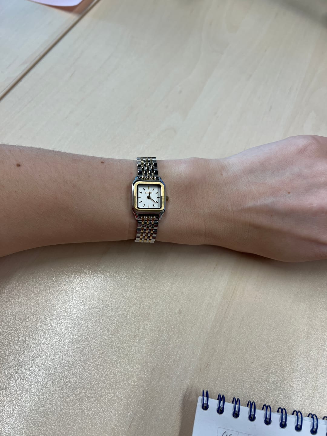 Customer photo review of Macy Petite Gold Silver