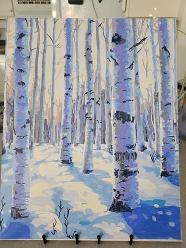Customer photo review of Snowy Woods Sunlight Shadows