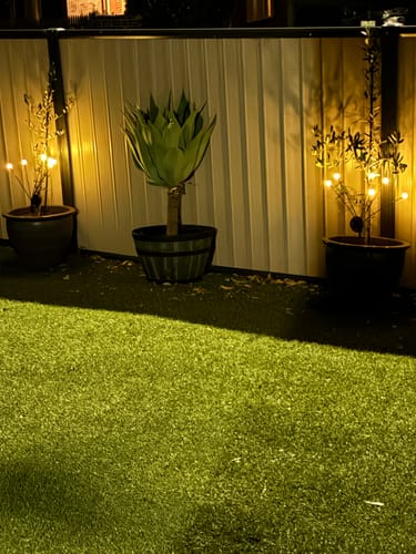 Customer photo review of GardenBrite™ Solar Firefly Lights