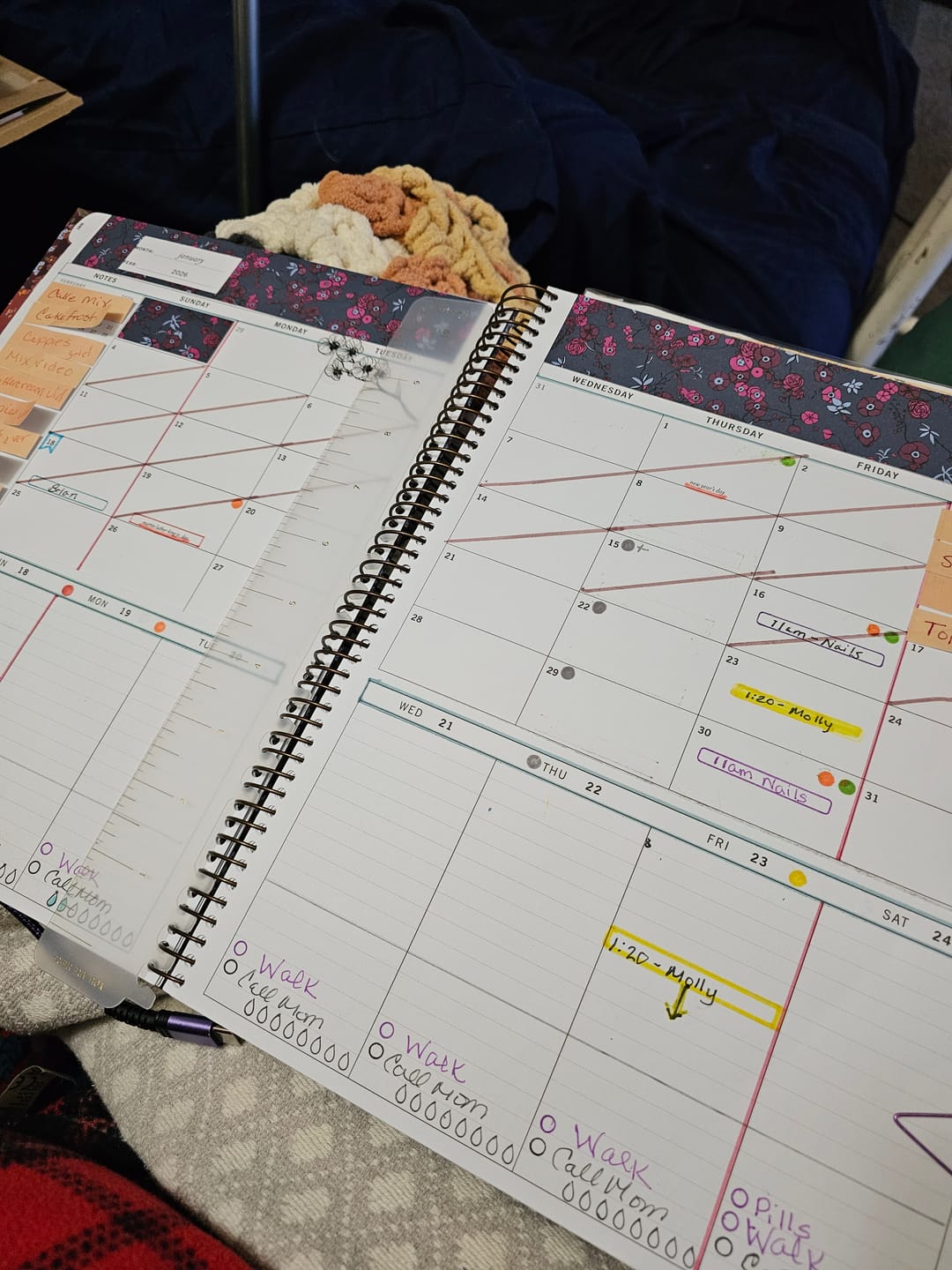 Customer photo review of 2026 | The Scout Planner | Bennet Sisters (portrait)