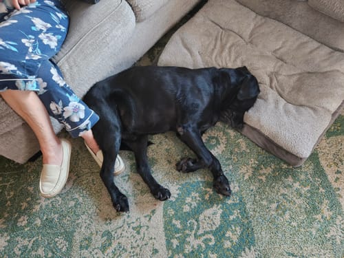 Customer photo review of Bestie Balance