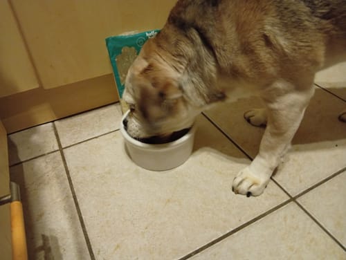 Customer photo review of Frischfutter für Energiebedarf von 676 kCal/Tag