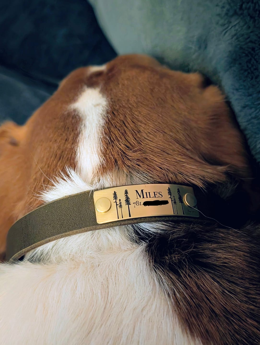 Customer photo review of Designer Rivet-On Tag