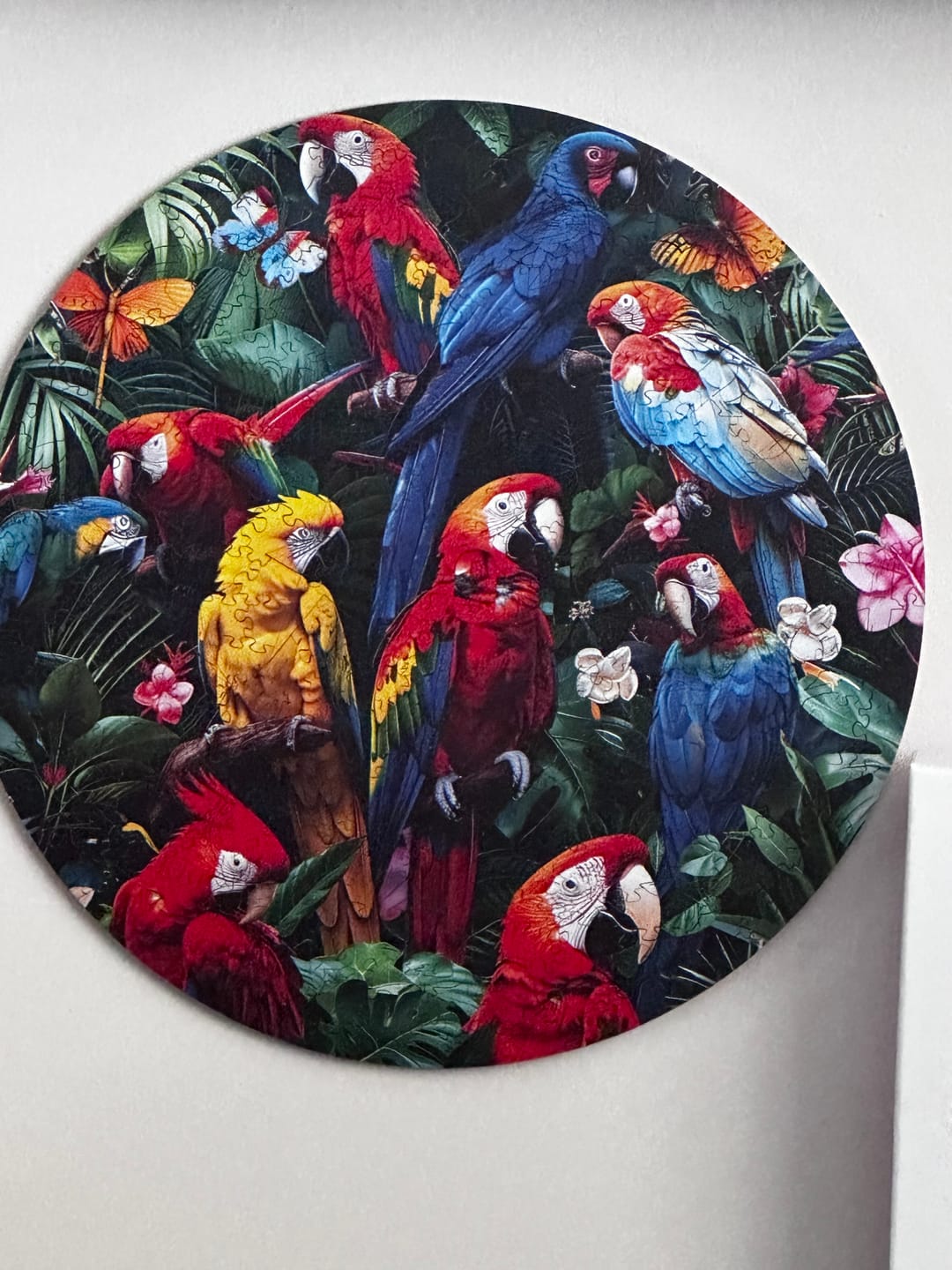 Customer photo review of Colorful Parrots - Wooden Puzzle