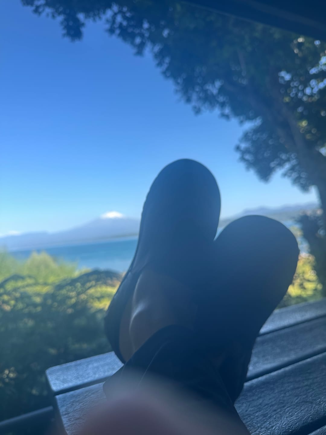 Customer photo review of Zueco Terra Clog Todo Terreno Café Chocolate Unisex