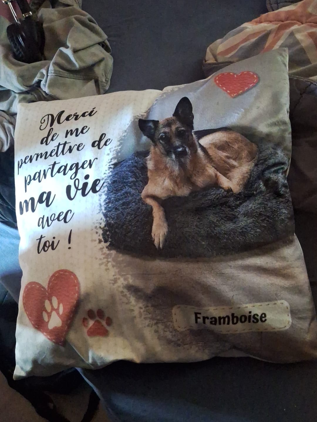 Customer photo review of Merci - Coussin personnalisé