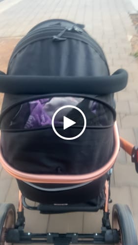 Customer video review of Pet Stroller with ISO-FIX Car Carrier