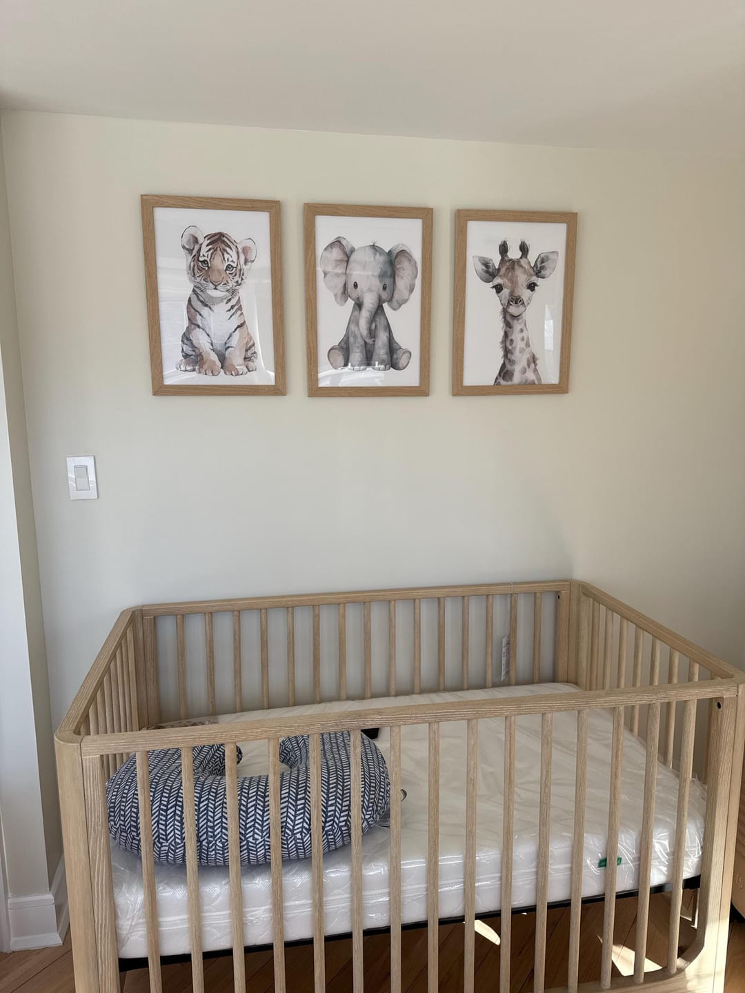 Customer photo review of Watercolor Safari Animals. Giraffe, Tiger, Elephant Prints