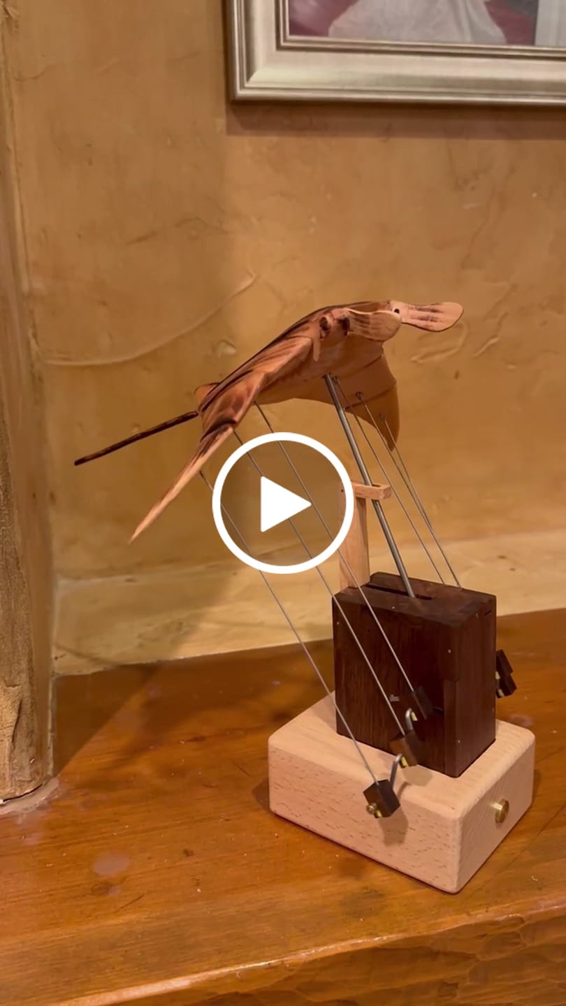 Customer video review of MarinerPoet™ Handcrafted Wooden Manta Ray Automaton