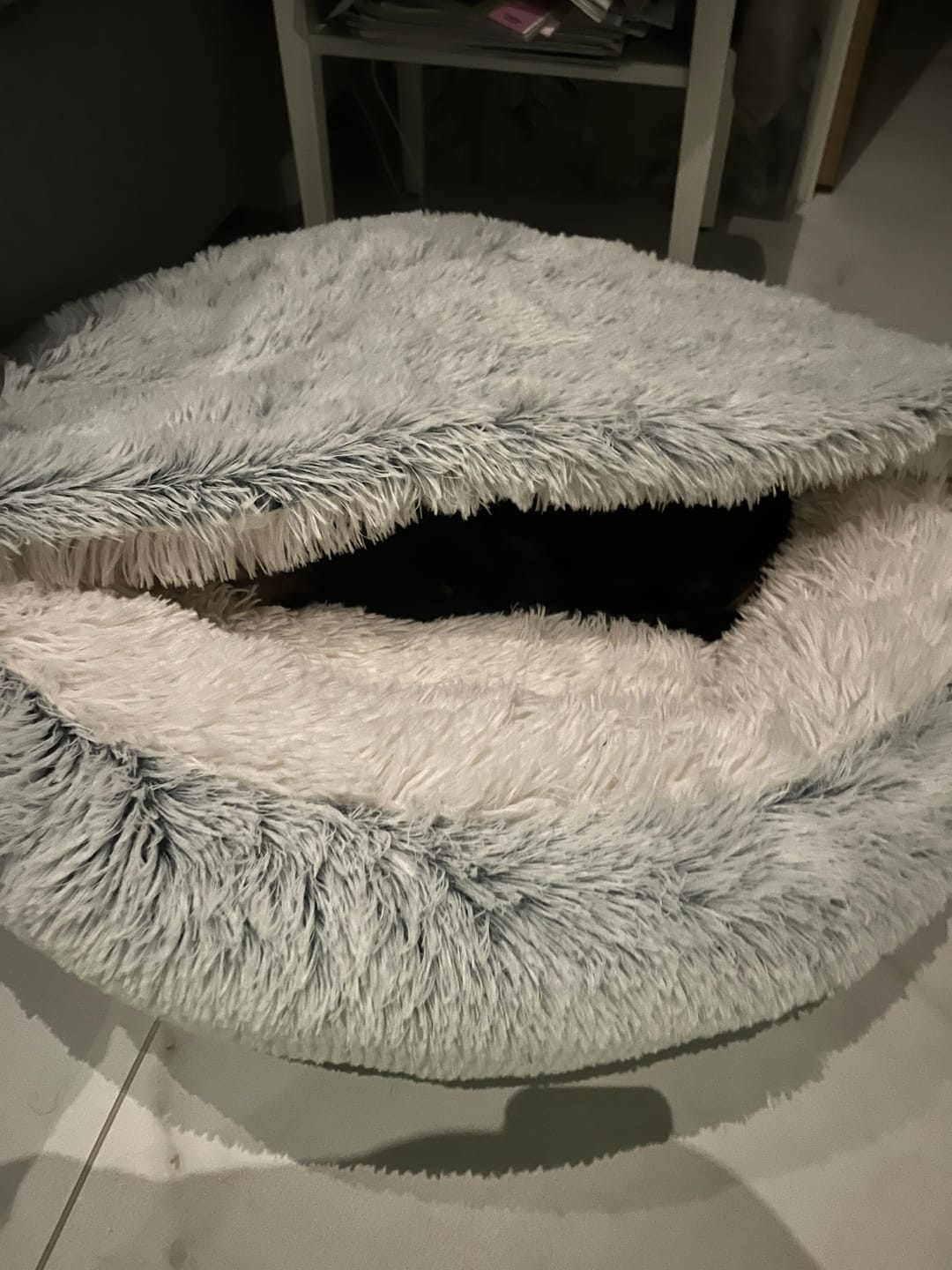Customer photo review of CozyCave™ rauhoittava luolapeti koirille