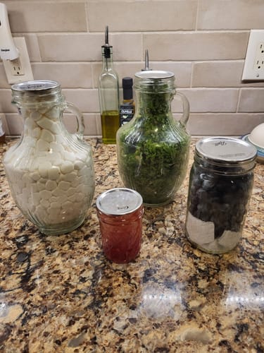 Reviewer shows various jars of food, including a handled jar, sealed using the Mason Genie kit.