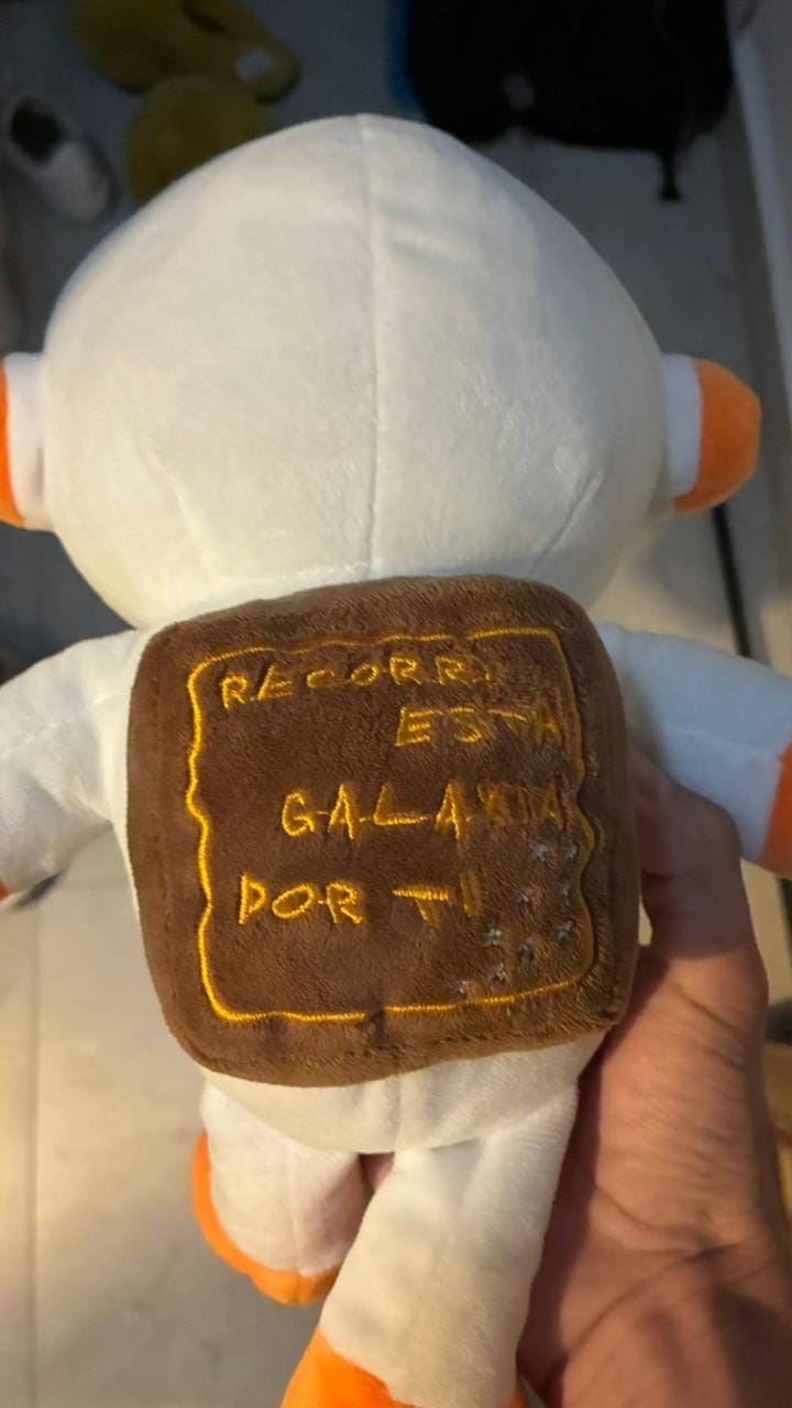 Customer photo review of Peluche Ivan Cornejo