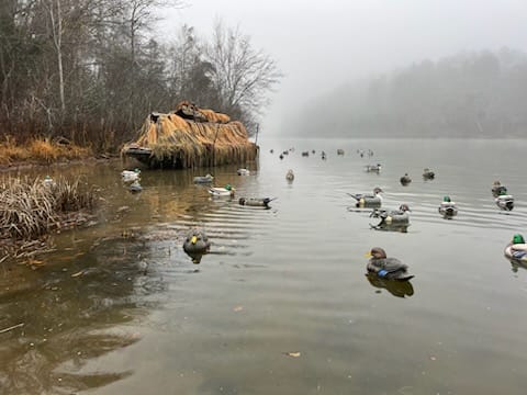 Customer photo review of Hunting Blind Raffia Grass (Individual)