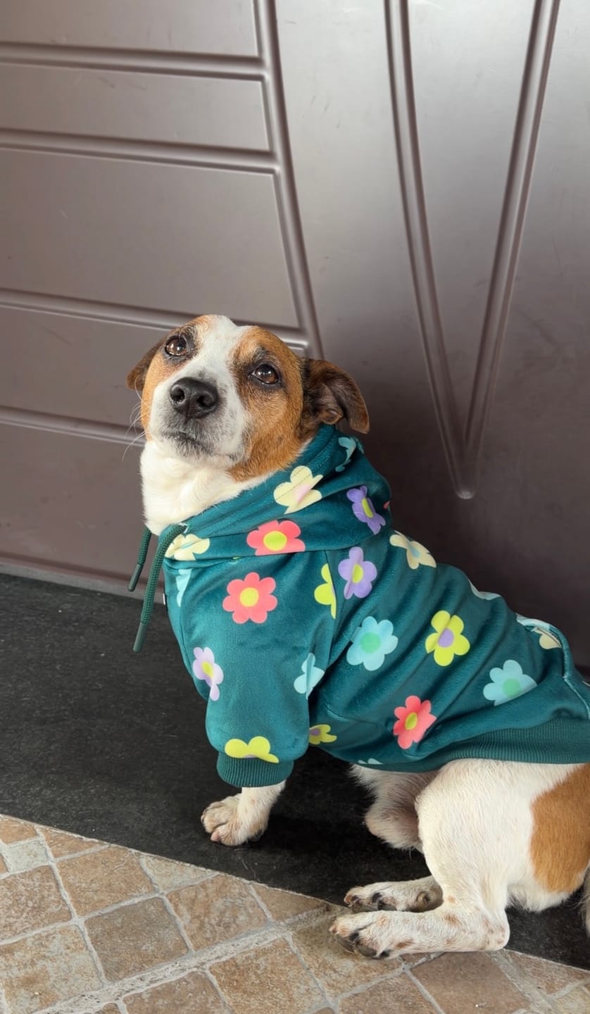 Customer photo review of Daisy Dog Hoodie - Green