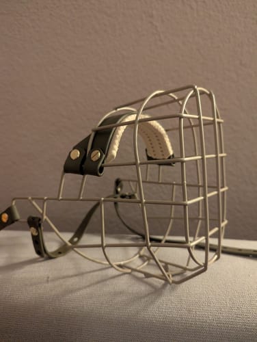 Customer photo review of Maulkorbberatung Glauchau/Sachsen