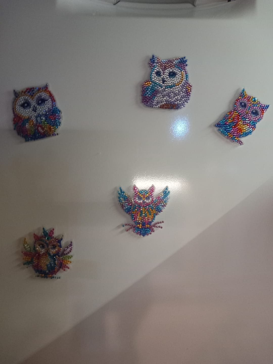 Customer photo review of Diamond Painting Magnete – Set mit 6 Eulen