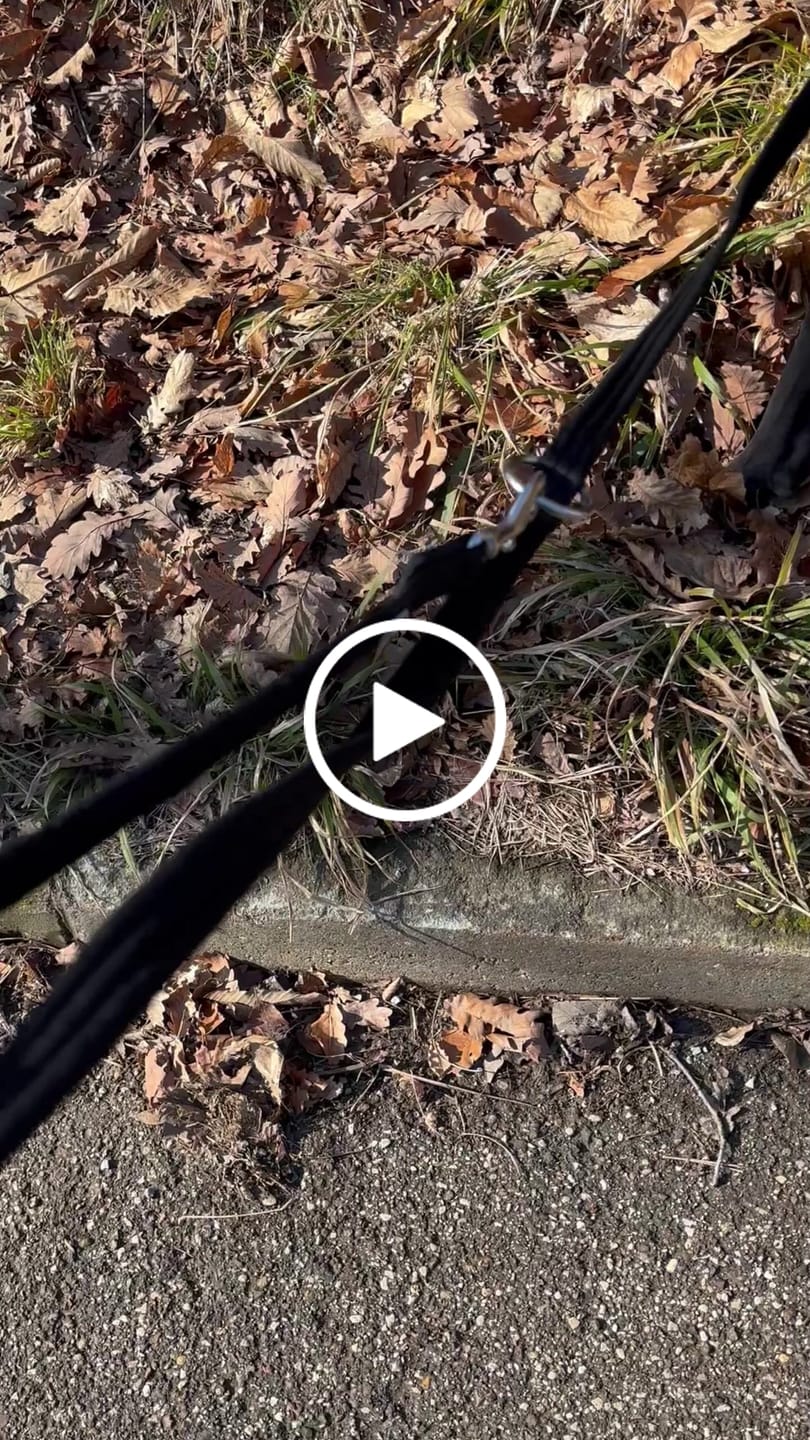 Customer video review of Training Double Ended Dog Lead | 2m Length - Black