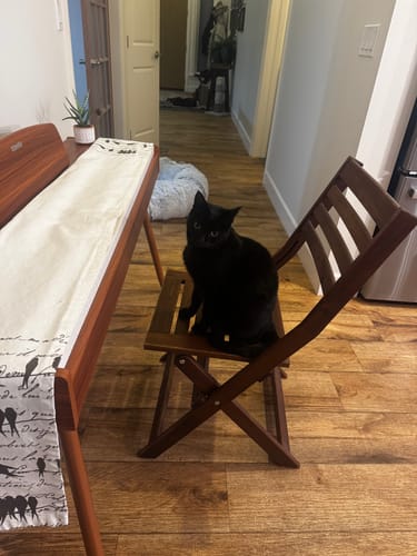 Customer photo review of Donner DDP-80 Wooden Digital Piano