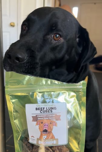 Customer's black dog resting its head on a bag of Beef Lung Cubes, looking at the camera.