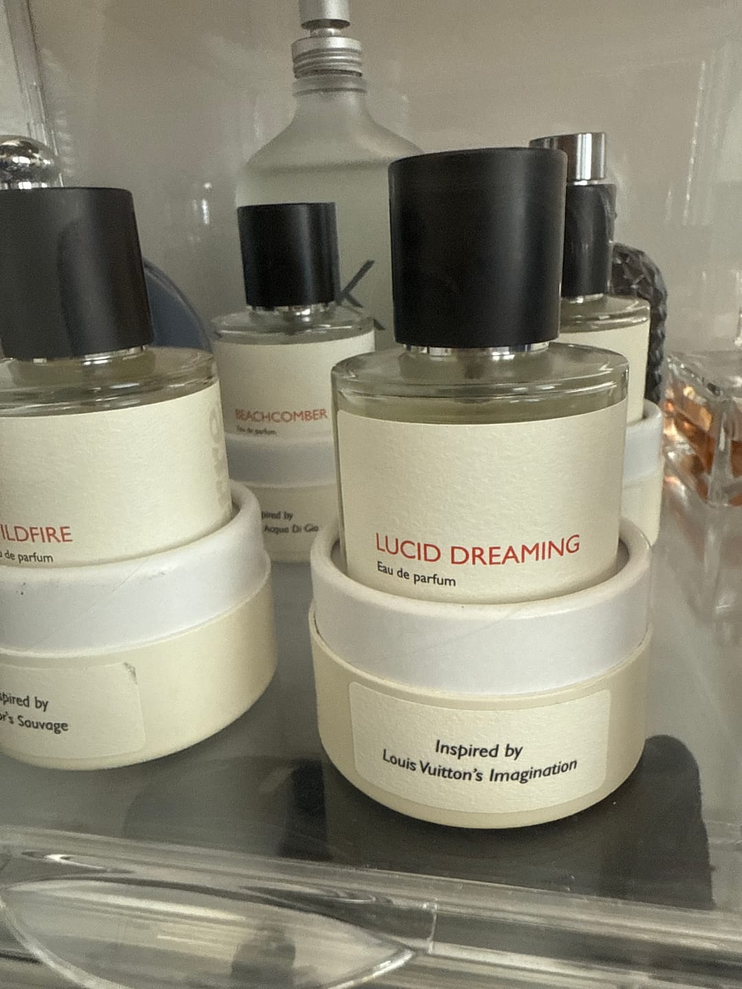 Customer photo review of Lucid Dreaming
